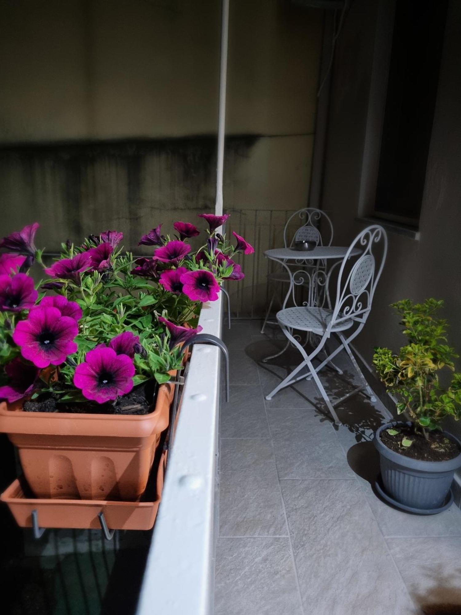 Ca Fiamma 2 Apartment Casale Monferrato Exterior photo